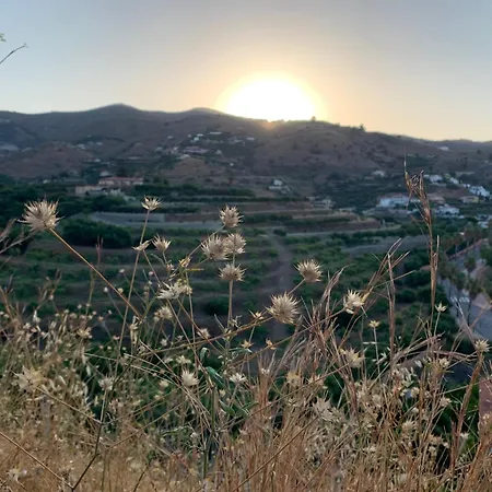 Cabria